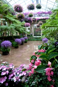 Conservatory - Longwood Gardens - DSC01093