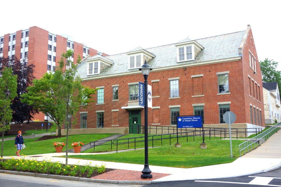 Connecticut Museum of Natural History - University of Connecticut - DSC09911