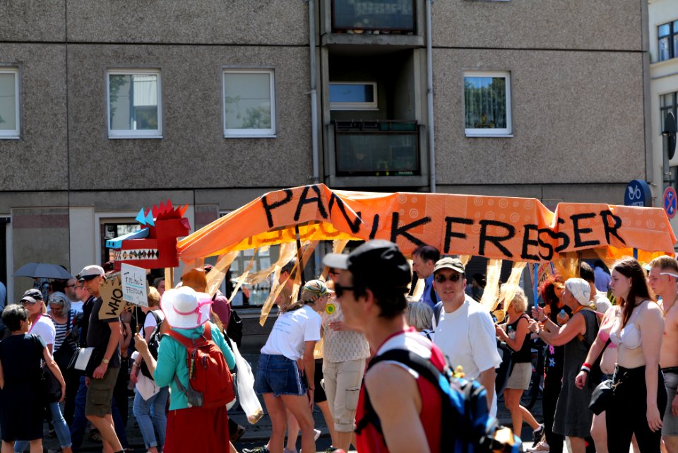 Conspiracy theorist protest Berlin 2020-08-01 95