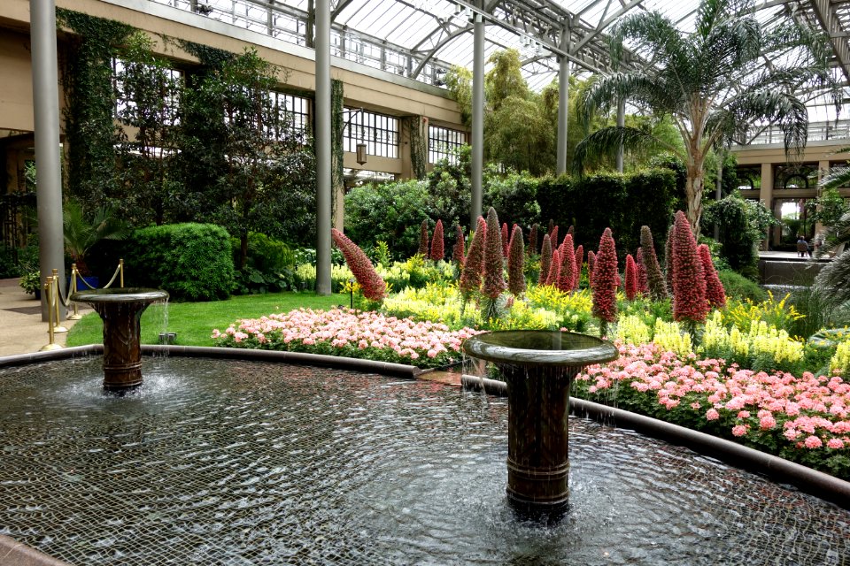 Conservatory - Longwood Gardens - DSC01046