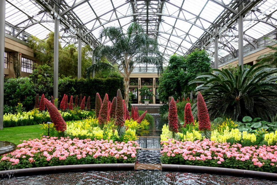 Conservatory - Longwood Gardens - DSC01039