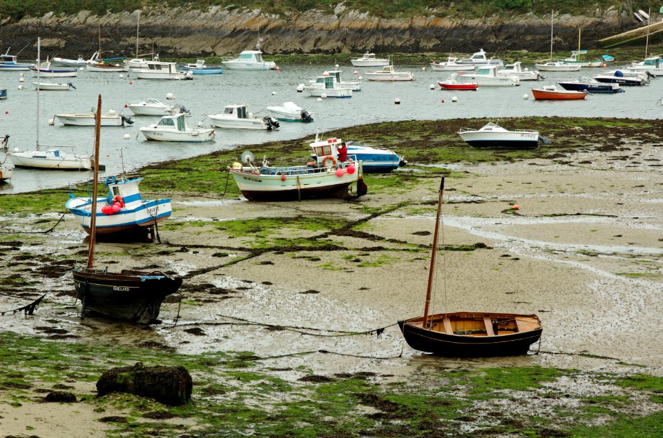 Conquet-low-tide-20060525-005
