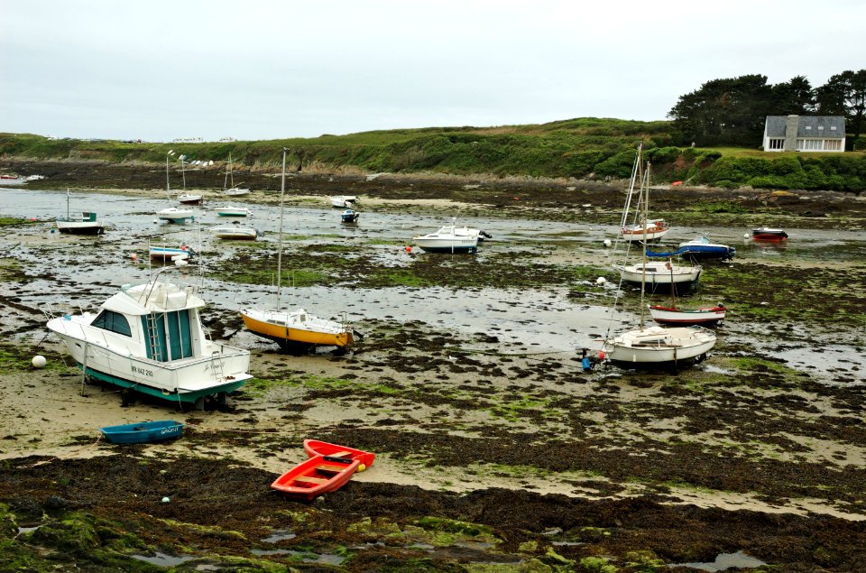 Conquet-low-tide-20060525-002
