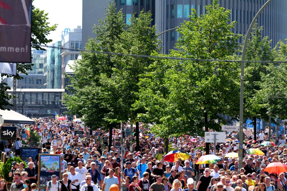 Conspiracy theorist protest Berlin 2020-08-01 64
