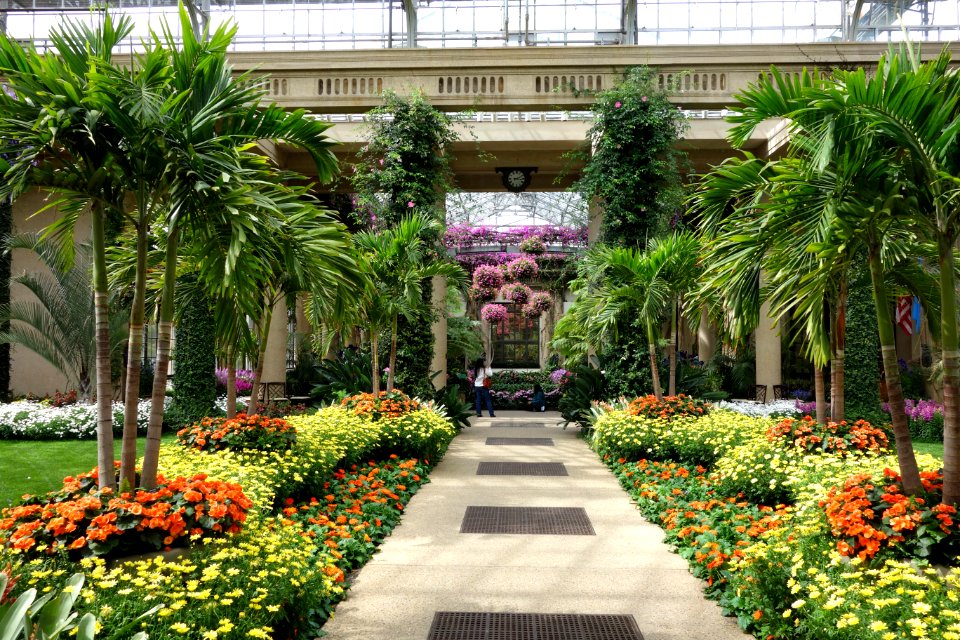 Conservatory - Longwood Gardens - DSC01094