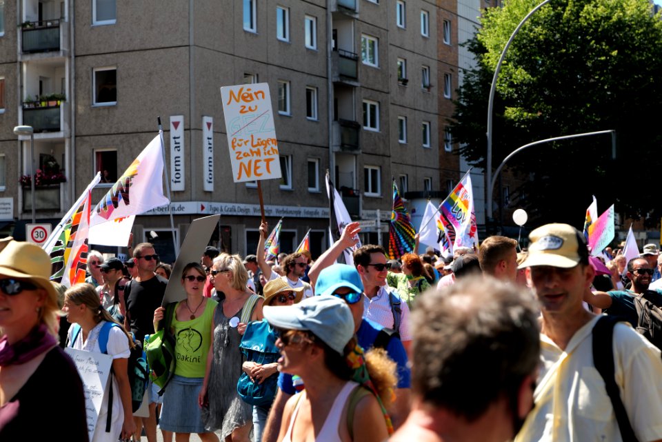 Conspiracy theorist protest Berlin 2020-08-01 88