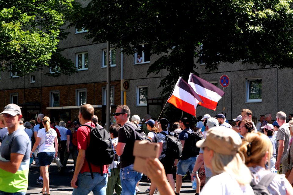 Conspiracy theorist protest Berlin 2020-08-01 94