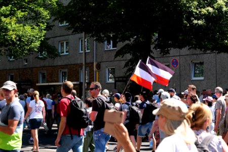 Conspiracy theorist protest Berlin 2020-08-01 94