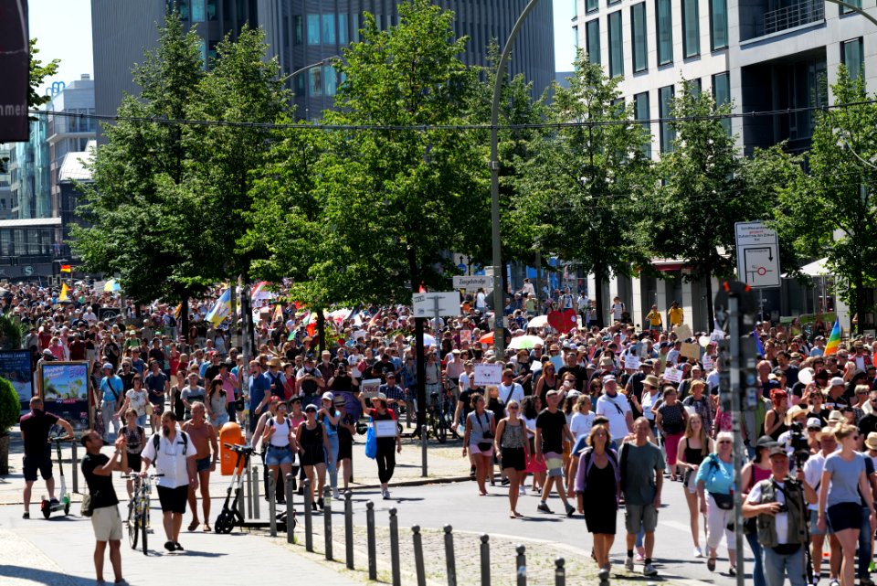 Conspiracy theorist protest Berlin 2020-08-01 68