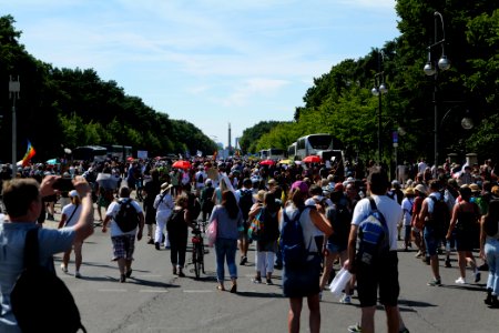 Conspiracy theorist protest Berlin Straße des 17 Juni 2020-08-01 03