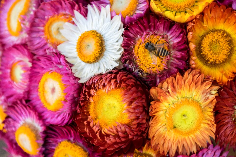 Floral spring natural