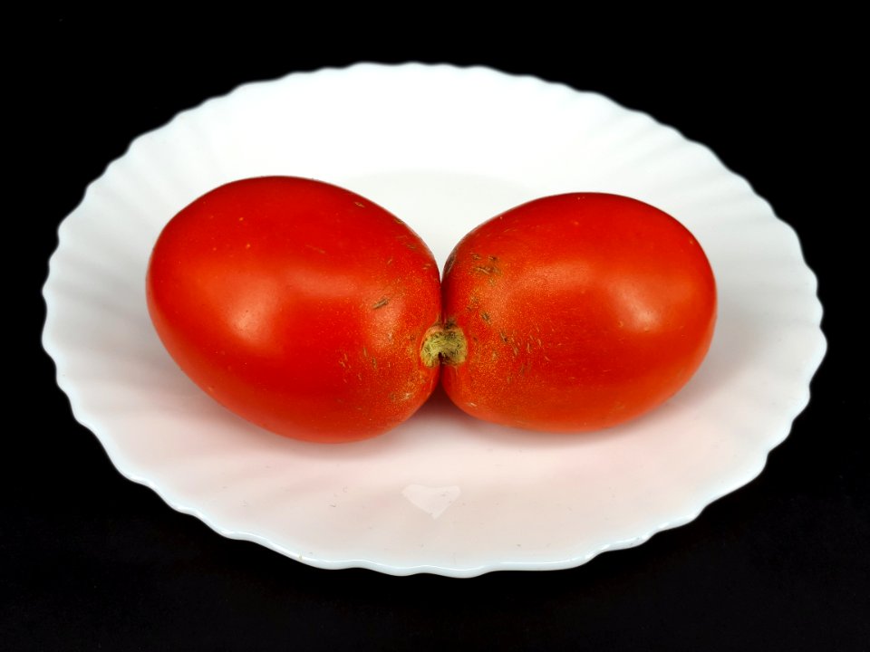 Conjoined tomato 2017 A4