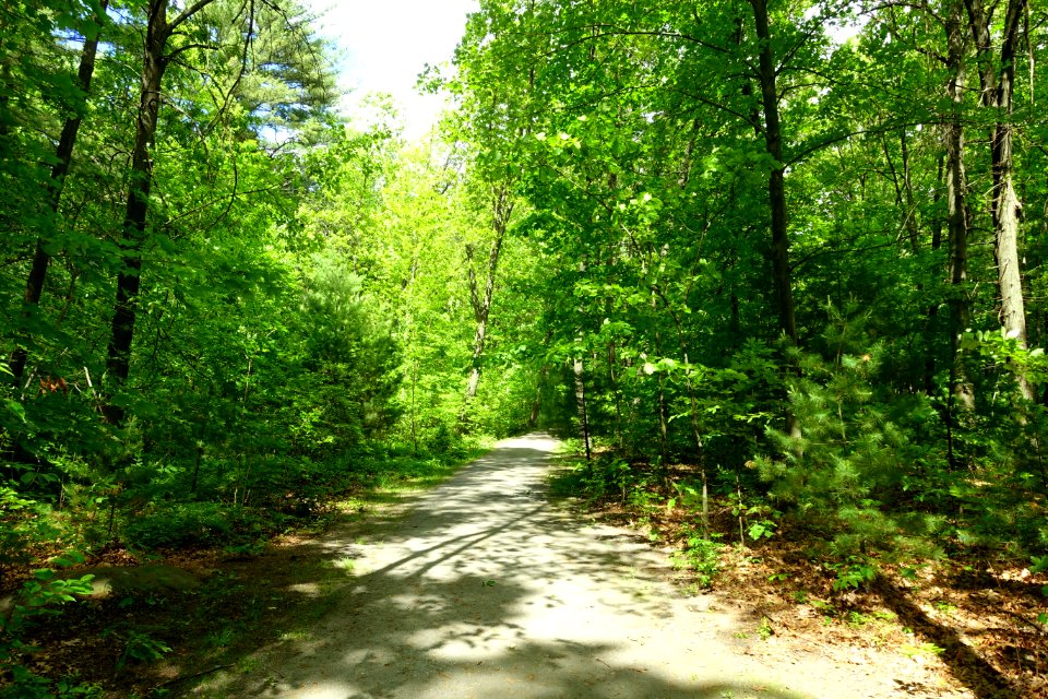 Connector trail - Doyle Community Park & Center - Leominster, Massachusetts - DSC06292