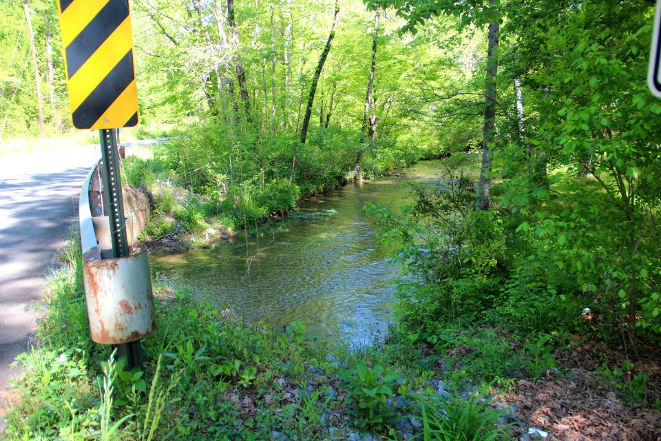 Connesena Creek, Bartow County, GA April 2019 1