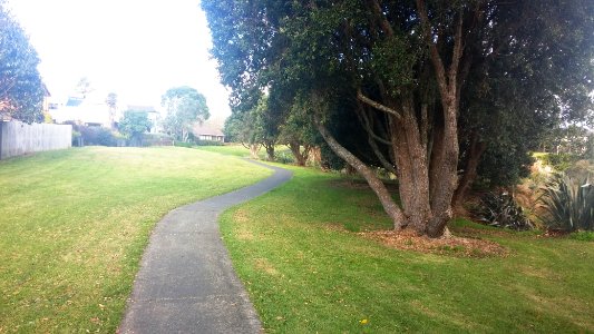 Conifer Grove park