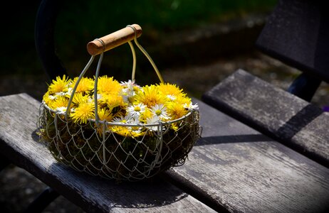 Flower basket floral greeting mother's day