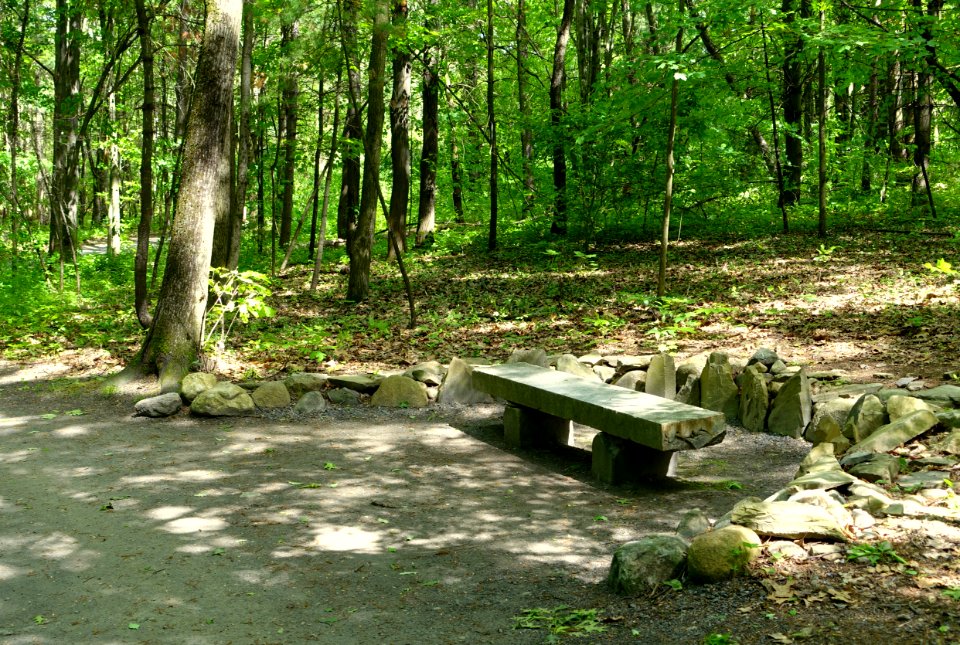 Connector trail - Doyle Community Park & Center - Leominster, Massachusetts - DSC06294