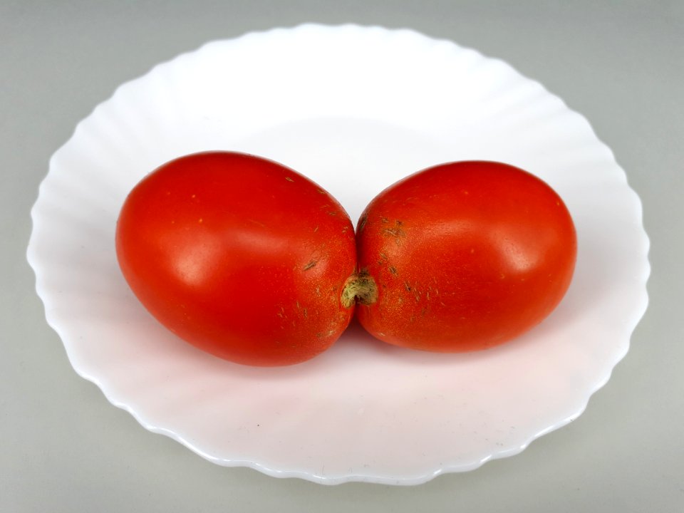 Conjoined tomato 2017 A3