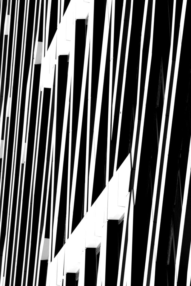 Contrast (61891929)