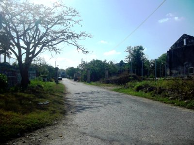 Conkal, Yucatán (04) photo