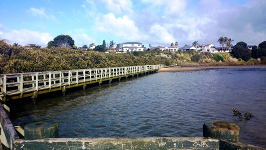 Conifer Grove mangrove boardwalk