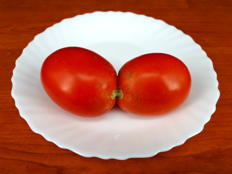Conjoined tomato 2017 A5