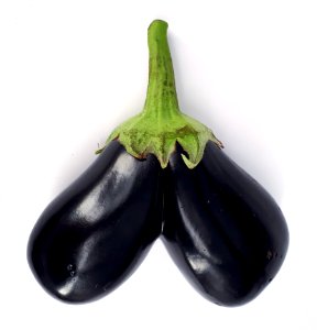 Conjoined eggplant 2017 A