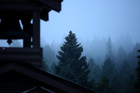 Forest haze bell