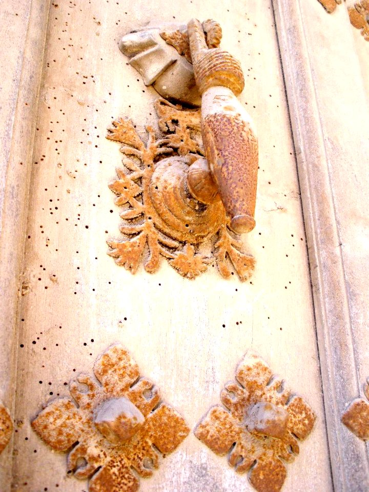 Corella 23