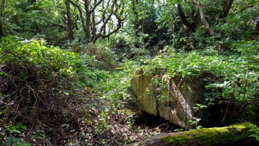 Cooden Moat, Cooden, Bexhill