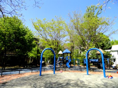 Cooper Square Park, Cambridge, Massachusetts - DSC07116