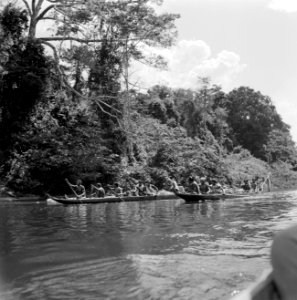 Corjalen op de Surinamerivier, Bestanddeelnr 252-4362