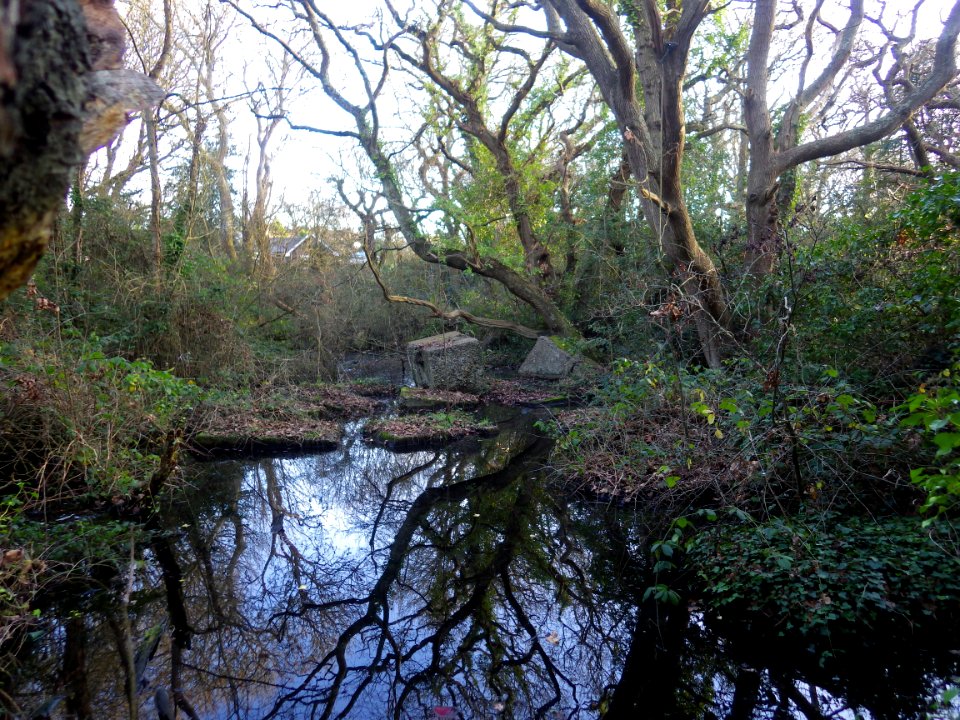 Cooden Moat, Bexhill