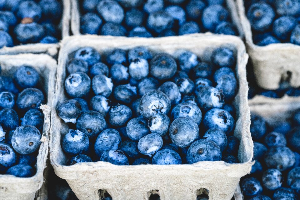 Fruit food dessert