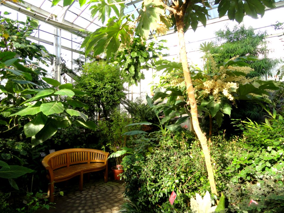 Cool Temperate House - Lyman Plant House, Smith College - DSC04377
