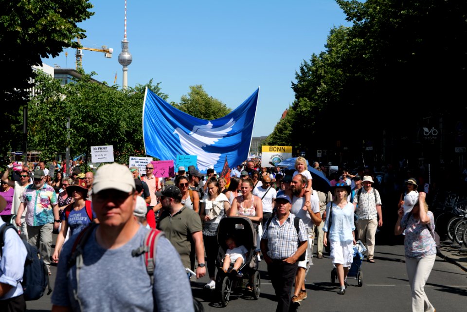 Conspiracy theorist protest Berlin 2020-08-01 131