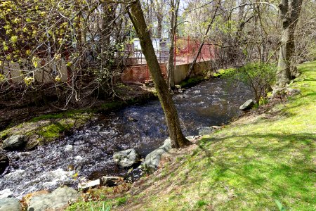 Cooke's Hollow - Arlington, MA - DSC00919