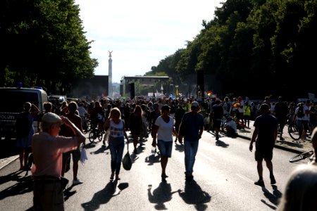 Conspiracy theorist protest Berlin Straße des 17 Juni 2020-08-01 76