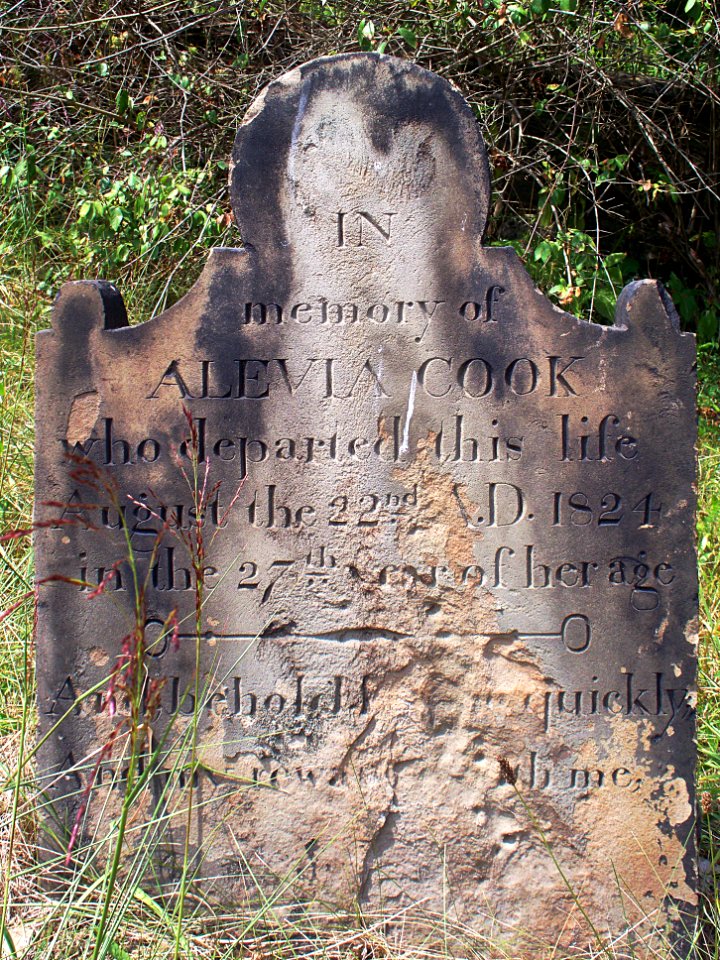 Cook (Alevia), Bethany Cemetery, 2015-08-30, 01