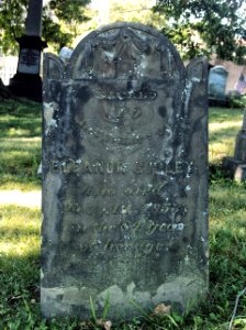 Cooley (Eleanor), St. Clair Cemetery, 2015-10-05, 01