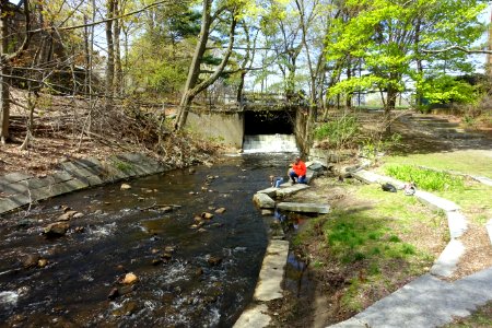 Cooke's Hollow - Arlington, MA - DSC00931