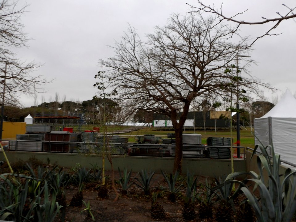 Construcción de tribunas Parque Mujeres Argentina YOG 2018 01