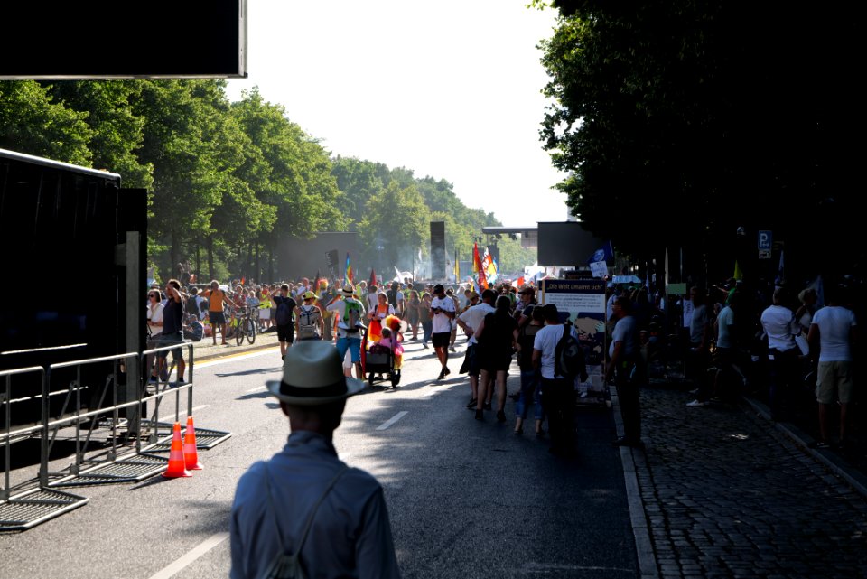 Conspiracy theorist protest Berlin Straße des 17 Juni 2020-08-01 72