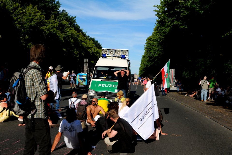 Conspiracy theorist protest Berlin Straße des 17 Juni 2020-08-01 77