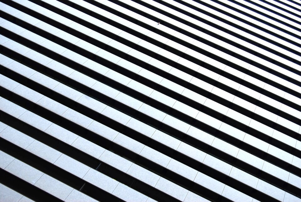 Geometric black-and-white pattern photo