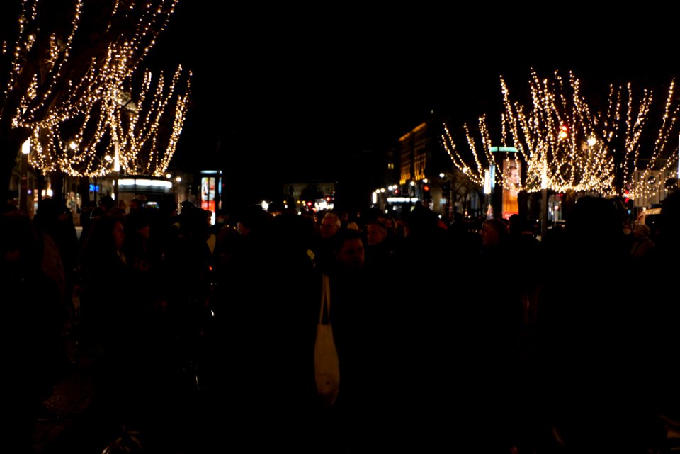 Conspracist demonstration Unter den Linden Berlin 2020-12-30 06