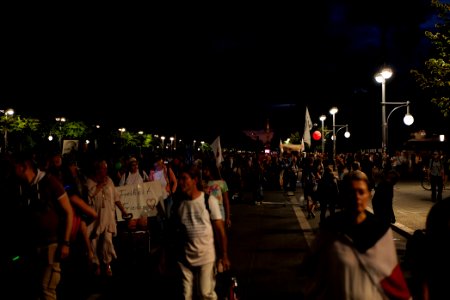 Conspiracist protest Straße des 17 Juni Berlin 2020-08-29 03