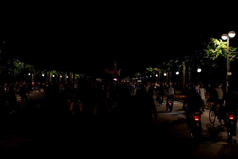 Conspiracist protest Straße des 17 Juni Berlin 2020-08-29 05