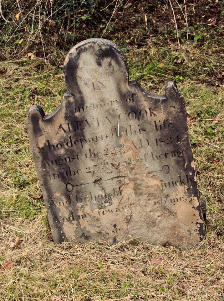 Cook (Alevia), Bethany Cemetery, 2015-10-09, 01