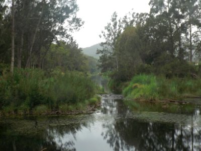 Coomera River 2 at Clagiraba, Queensland photo